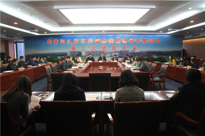 凯发股份团委召开换届选举大会